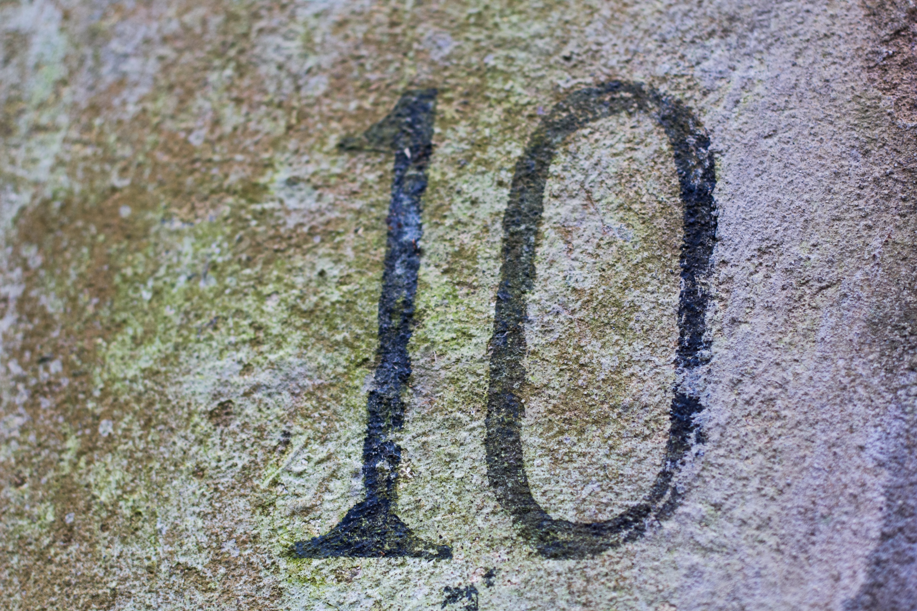 Take 10 Package